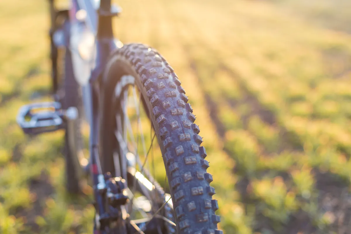 Simpelveld 131 mountain bike