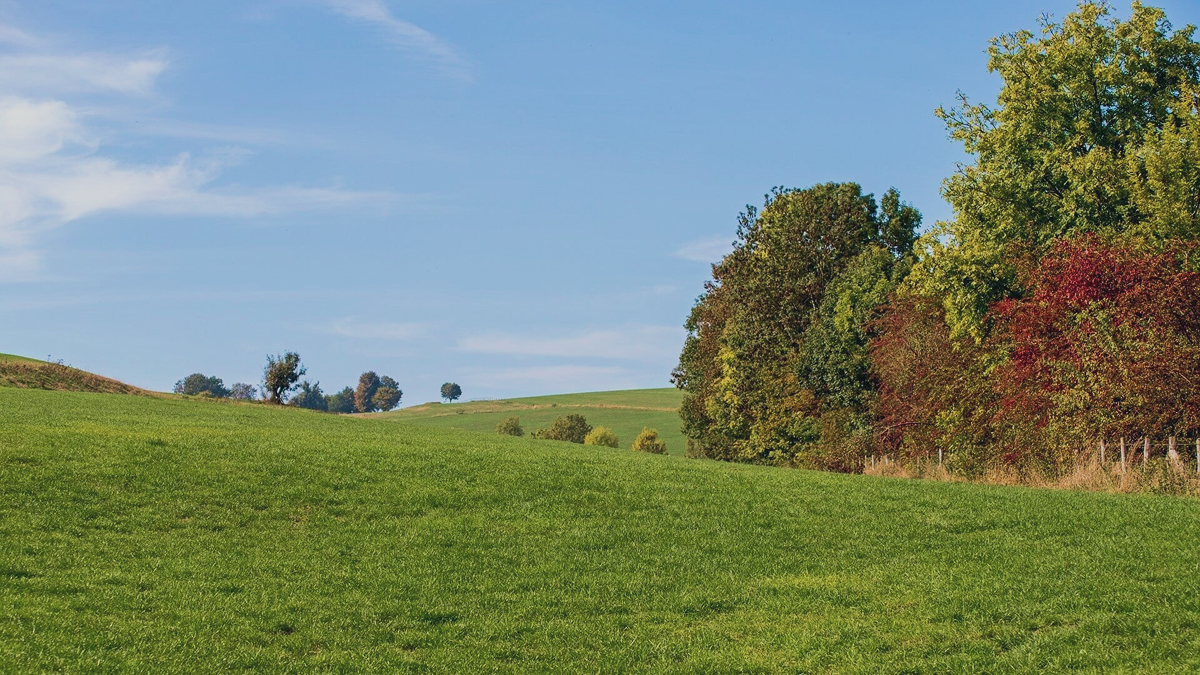 Groenpark Simpelveld